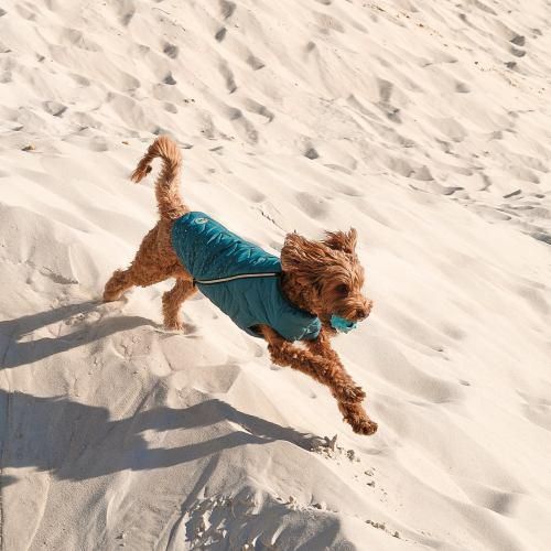Жилет Pet Fashion «E.Vest» для собак, размер SM, морська хвиля | Зображення 3
