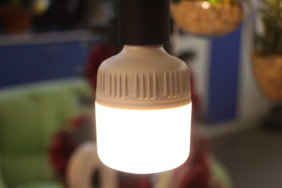 Лампа для увеличения яйценоскости птиц LED E27 15W Egg 220V | Зображення 1