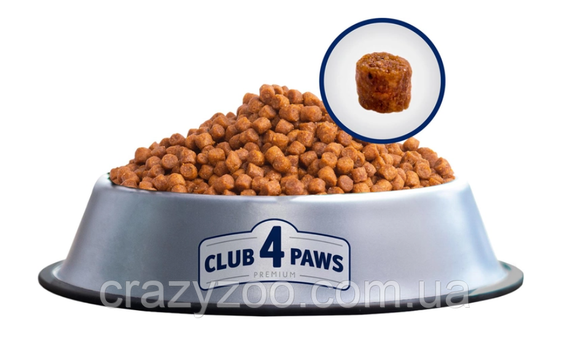 Сухой корм для котят Club 4 Paws с курицей 5 кг B4651001 | Зображення 1