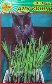 Зелень для кішки 10 г