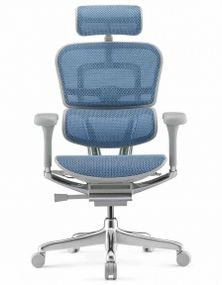Кресло компьютерное ERGOHUMAN ELITE 2 (EHE2-AG-HAM-5D-L) сетка T-168-B4 COBALT