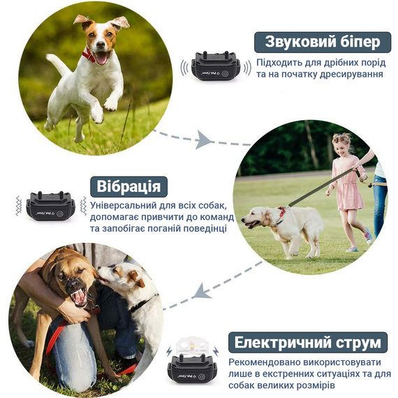 Электроошейник для дрессировки собак с 1-м ошейником Petainer PET998DB-1, аккумуляторный | Зображення 5