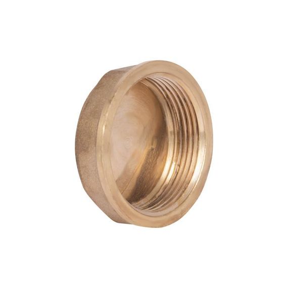 Заглушка Thermo Alliance Standart 1 1/2" ВР SD40240 | Зображення 2