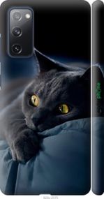 Чохол на Samsung Galaxy S20 FE G780F Димчастий кіт "825m-2075-2448"