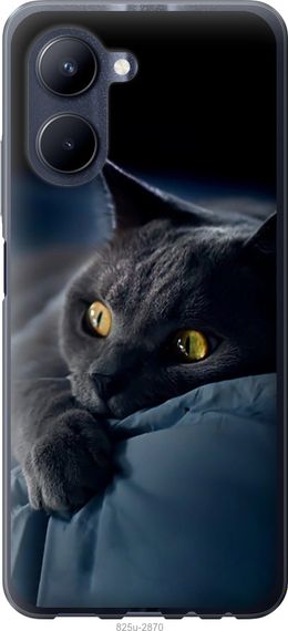 Чехол на Realme C33 Дымчатый кот "825u-2870-17620"