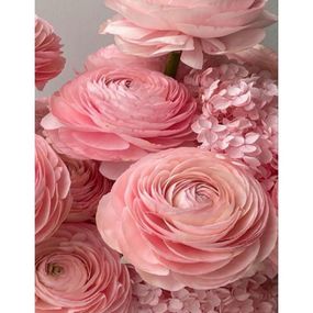 Алмазна мозаїка "Рожеві лютики" JSFH85887 без підрамника 40х50 см