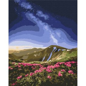 Картина по номерам "Черногора" ©Roksolana Baran BS53753, 40х50 см