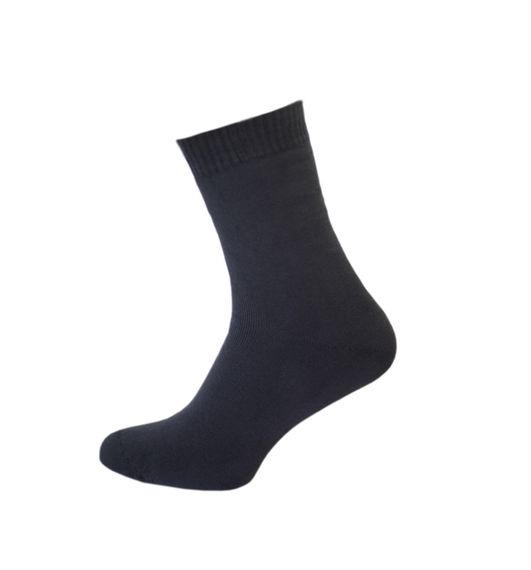 Шкарпетки махрові чоловічі зимові Twinsocks р.39-40 (25), 41-42 (27) сірі, сині Сірий