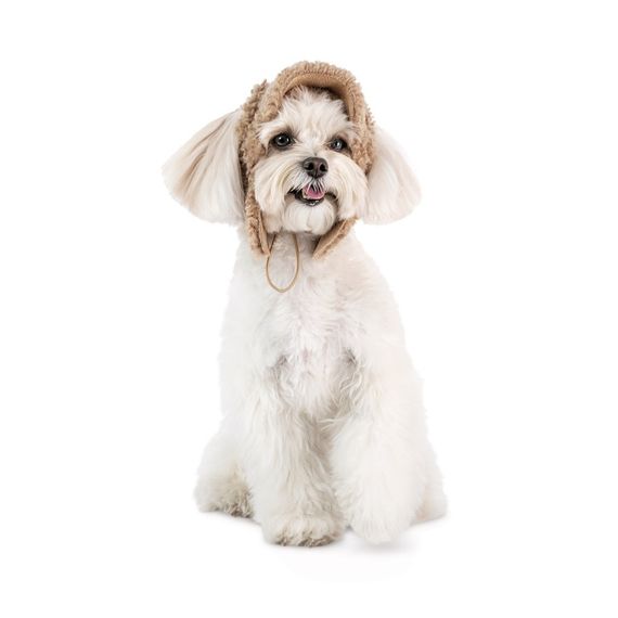 Шапка Valley Pet Fashion для собак, розмір S бежева | Зображення 1