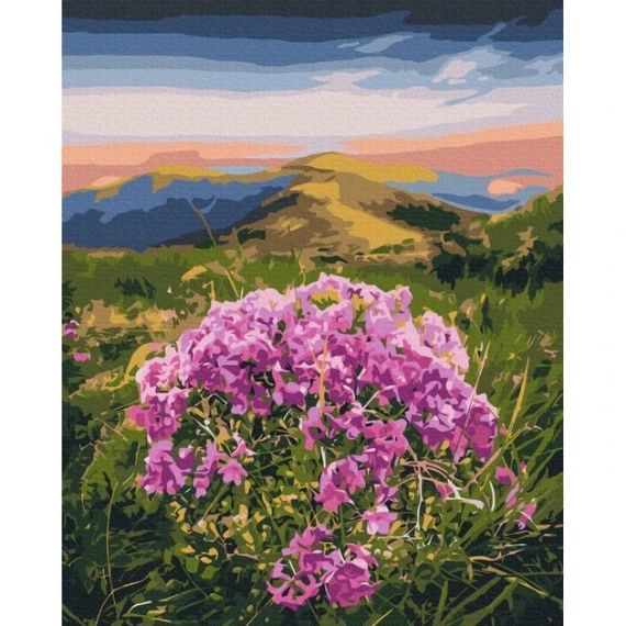 Картины по номерам "Цветение Карпат" 40x50 BS53750