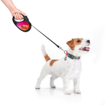 Поводок для собак WAUDOG R-leash Конотопские магические войска светоотражающая лента S 5 м (8124-0232-01) | Зображення 2
