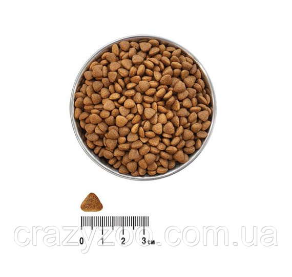 Сухий корм для котів Ekko гранула Щоденний з куркою 10 кг 6067 | Зображення 1