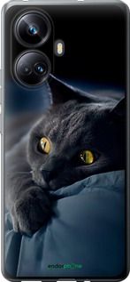 Чохол на Realme 10 Pro Plus Димчастий кіт "825u-2944-2448"