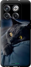 Чохол на OnePlus 10T Димчастий кіт "825b-2647-2448"