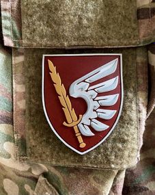 Патч / шеврон “79 ОДШБр ДШВ ЗСУ” парадний
