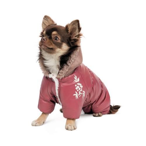 Комбінезон Pet Fashion Cherry S2 дівчинка для собак | Зображення 1