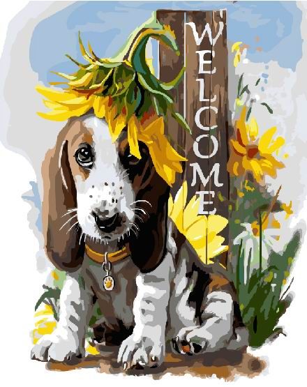 Добро пожаловать