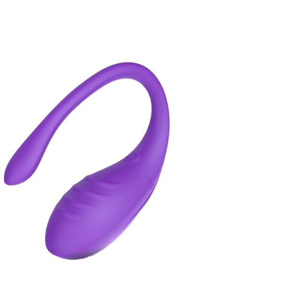 Віброяйце Every Night Toys Letitia з дистанційним керуванням, бузковий, 10 режимів вібрації Sex Aura | Зображення 1