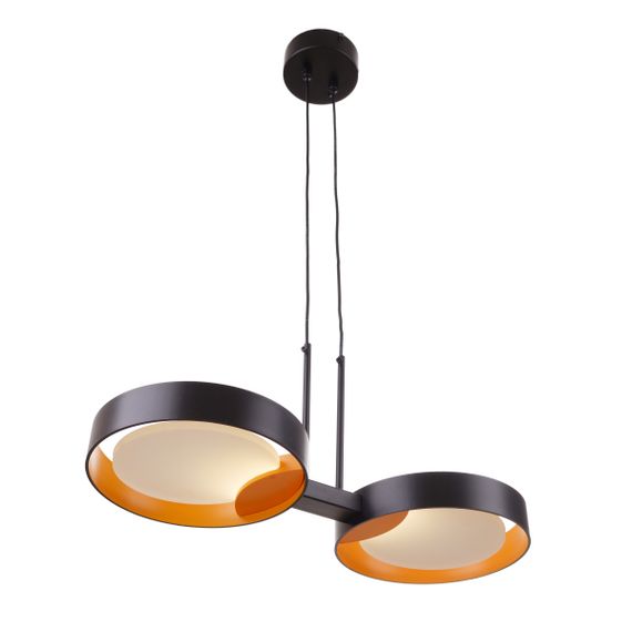 Светильник потолочный подвесной BR-01 666S/2 LED 10W NW BK/G | Зображення 1