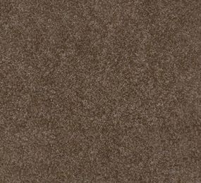 Ковролін Beaulieu Real Chevy 7764