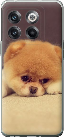 Чехол на OnePlus 10T Boo 2 "890u-2647-17620"