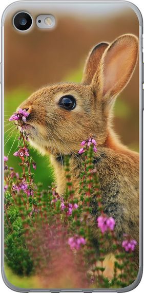 Чехол на iPhone 7 Кролик и цветы "3019u-336-17620"