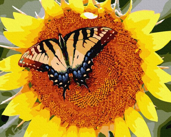 Метелик на соняшнику