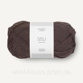 Шкарпеткова пряжа Sandnes Garn Sisu 50 г, 3880
