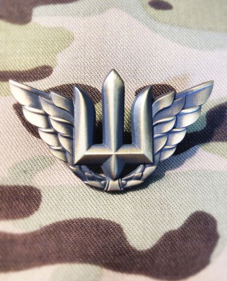 Беретний знак військово-повітряних сил України/ Кокарда повітряних сил металева | Зображення 2