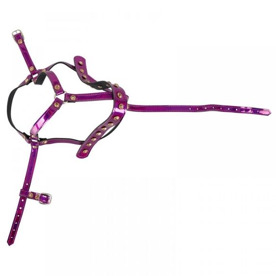 Упряжка для голови Bad Kitty Head Harness | Зображення 2