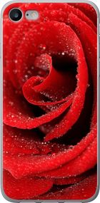 Чехол на iPhone 8 Красная роза "529u-1031-17620"