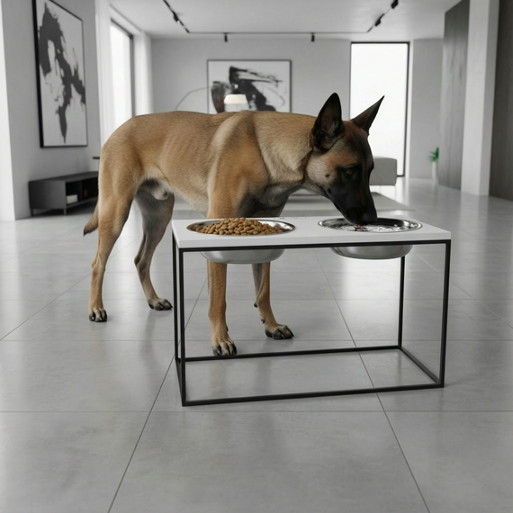 Миски на подставке для очень больших собак Hollky Base XXL40 (2 × 2,8 л) BXXL40-643240-BLWH | Зображення 3