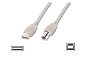 Кабель ASSMANN USB 2.0 (AM/BM) 1.8m, biege (AK-300102-018-E)