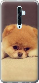 Чехол на Oppo Reno 2Z Boo 2 "890u-1867-17620"