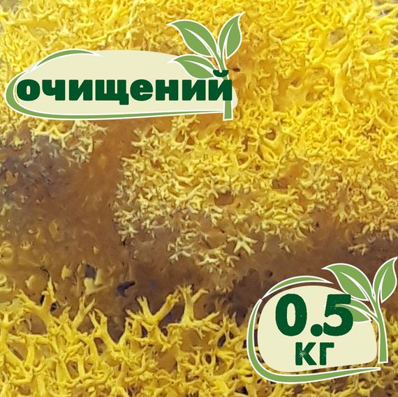 Очищений стабілізований мох ягель Жовтий лимонний 0,5 кг