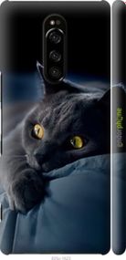 Чохол на Sony Xperia XZ4 Димчастий кіт "825m-1623-2448"