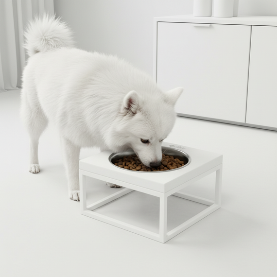 Миска на подставке для кошек и средних собак Hollky Base Solo M (1 × 0,8 л) Solo M-212110-WHWH | Зображення 1