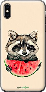 Чохол на iPhone XS Max Єнотик з кавуном "4605t-1557-2448"