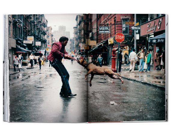 Книга New York. Portrait of a City | Зображення 6