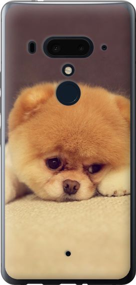 Чехол на HTC U12 Plus Boo 2 "890u-1712-17620"