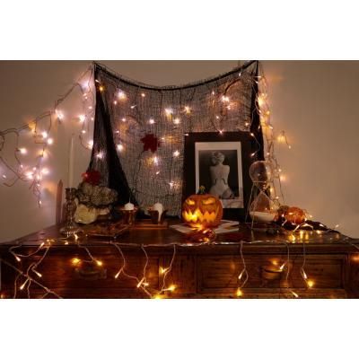 Гирлянда Twinkly Smart LED Pro Strings RGBW 250, двойная линия, AWG22, IP65, (TWP-S-CA-2X125SPP-T) | Зображення 6