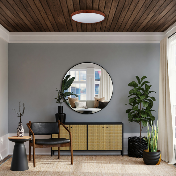 FOREST зоряне небо 80W 480*65мм 3000К-6500К з ДК амарант | Зображення 7