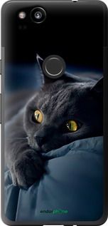 Чохол на Google Pixel 2 Димчастий кіт "825t-1075-2448"