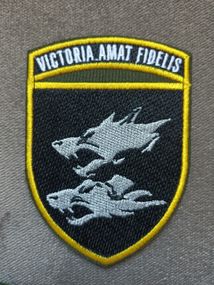 Шеврон 38 ОГРМП (кольоровий)