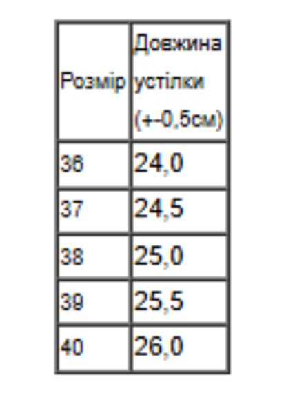 Демісезонні жіночі ботфорти однотонні на флісі Носи своє 40 Чорний (p-18274-217431) | Зображення 1