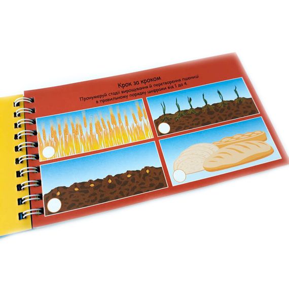 Навчальна книга Цифри 4+ Грайки 123003 | Зображення 2