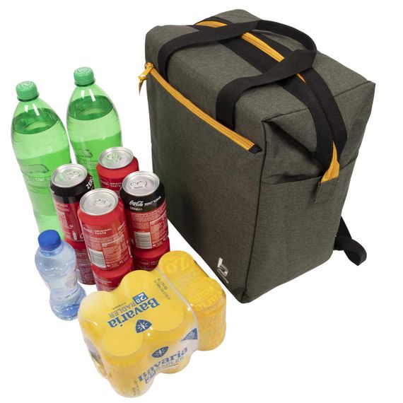Термосумка Bo-Camp Matteson 22 Liters Grey (6702964) | Зображення 1