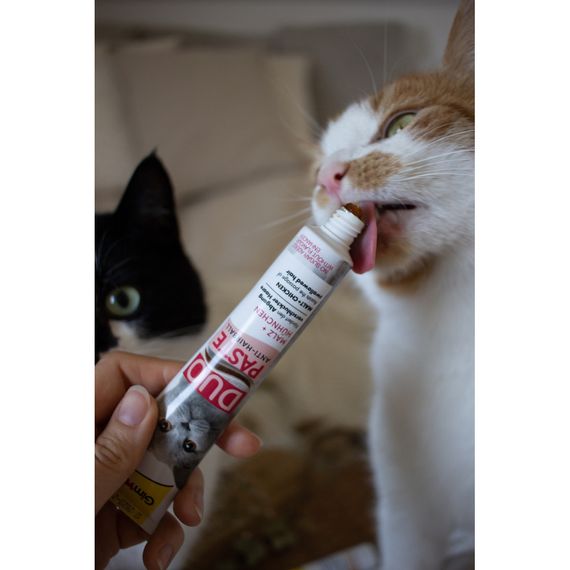 Паста GimCat DUO PASTE Anti-hairboll malt with chicken для котів з чутливим травленням усіх порід мальт та курка 50г | Зображення 3