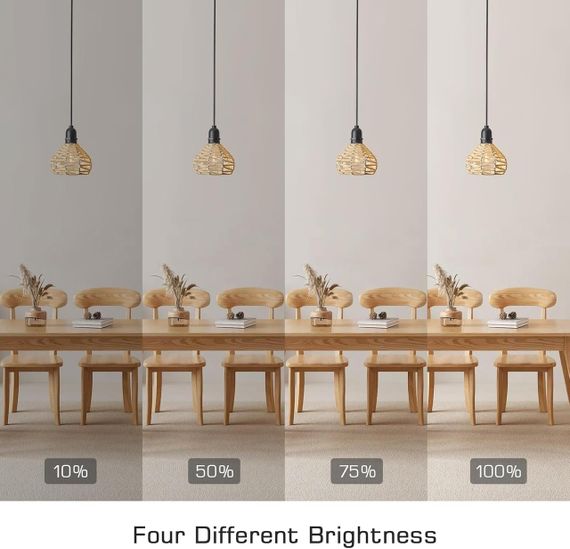 Підвісні лампи на батарейках 2 шт, портативний світильник з пультом, діммер, таймер, для вулиці і будинку регульована висота, бохо | Зображення 4