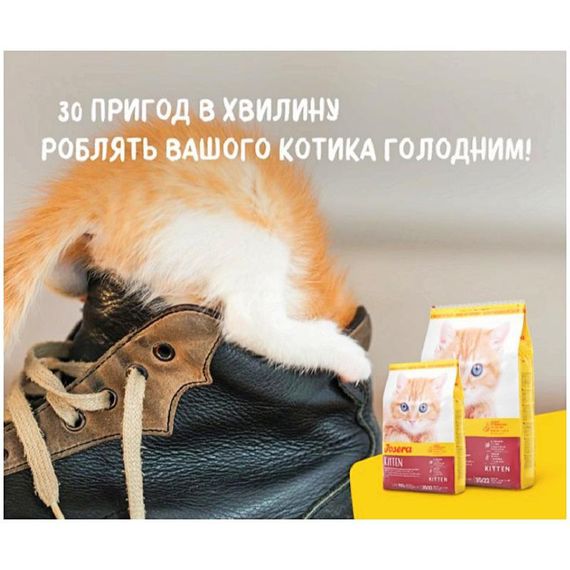 Сухий корм для кошенят та вагітних і лактуючих кішок Josera Kitten 10 кг (4032254748960) | Зображення 1